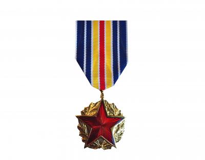Médaille des Blessés Militaires