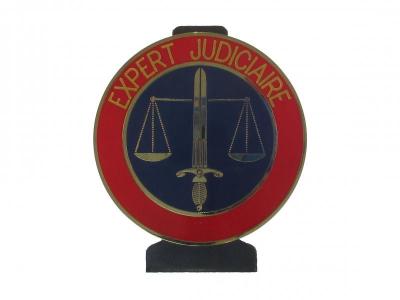 Expert judiciaire