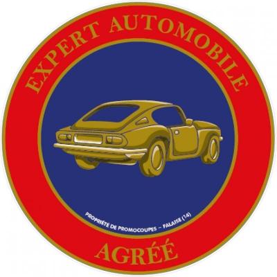Expert automobile