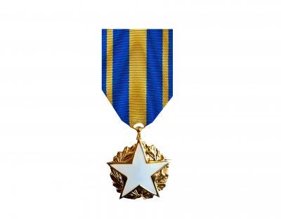 Médaille des Blessés Civils