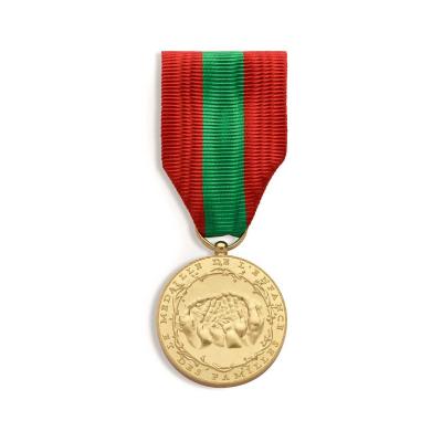 Médaille de l'enfance et des Familles MODÉLE 2022