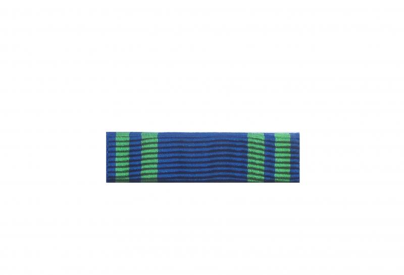 Dixmude Ordre du Mérite Maritime Chevalier 