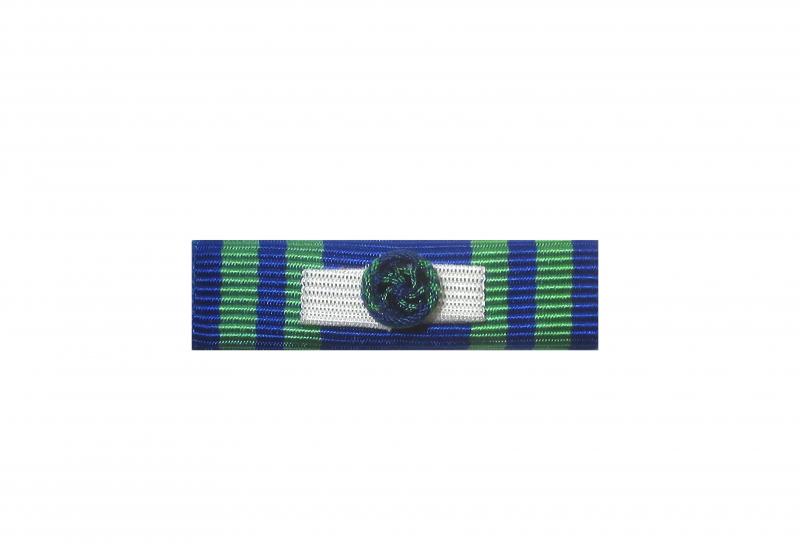Dixmude Ordre du Mérite Maritime Commandeur 