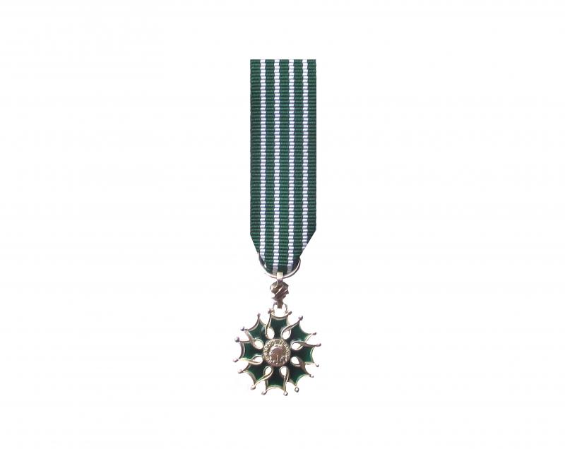 Arts et Lettres Chevalier Réduction