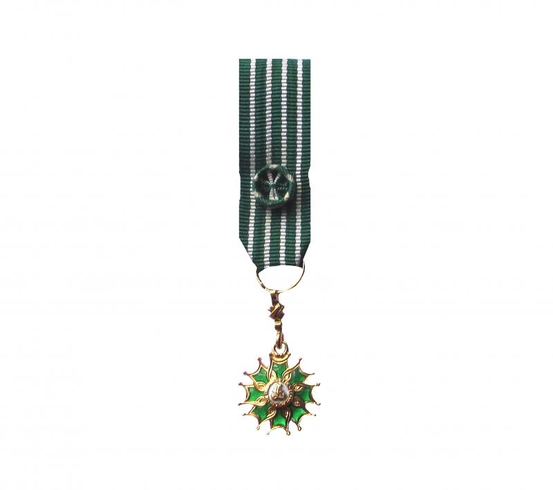 Arts et Lettres Officier Réduction