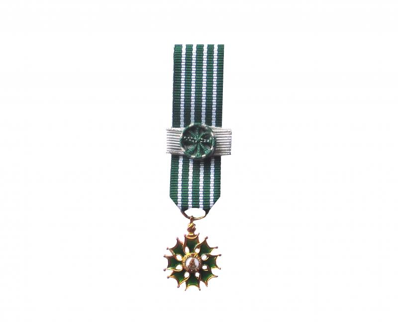 Arts et Lettres Commandeur Réduction