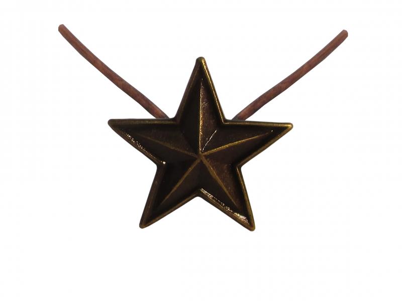 Etoile Bronze (Agrafe ordonnance)