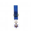 Ordre National du Mérite Grand Croix Réduction