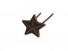 Etoile Bronze (Agrafe réduction)