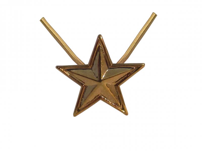 Etoile Or (Agrafe ordonnance)