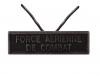 Force Aerienne de Combat (Agrafe réduction)