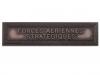 Force Aérienne Stratégique (Agrafe ordonnance)