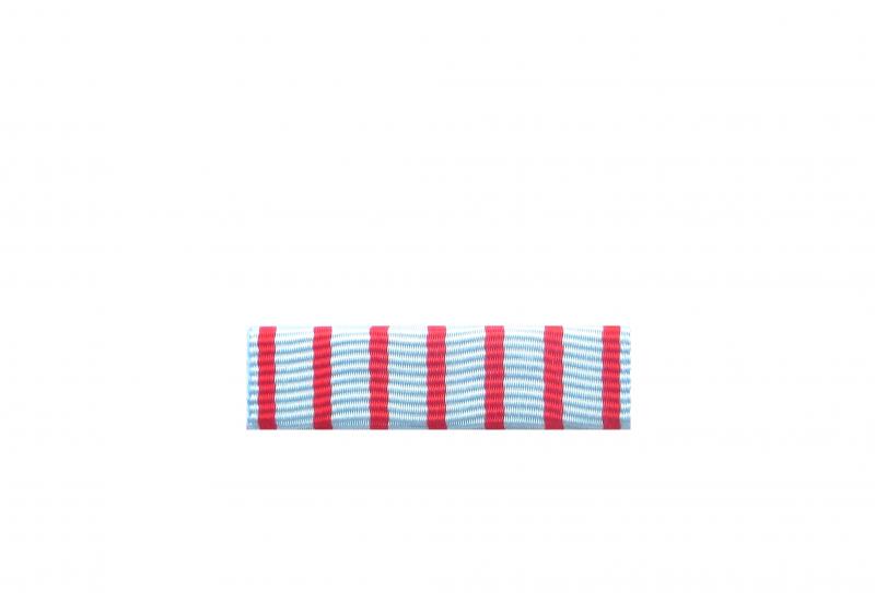 Dixmude Croix du Combattant