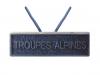 Troupes Alpines (Agrafe réduction)