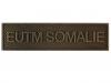 EUTM Somalie (Agrafe ordonnance)
