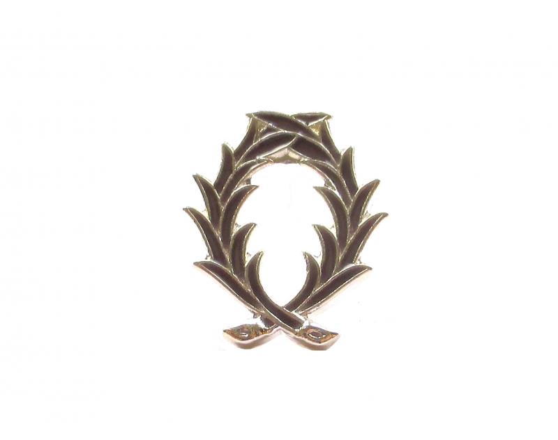Pin s Palmes Académiques Chevalier