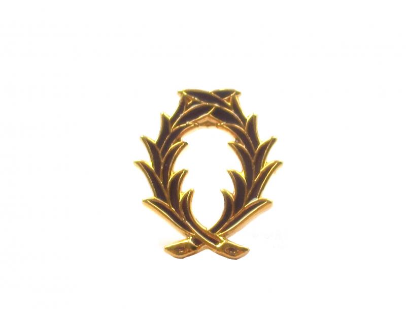 Pin s Palmes Académiques Officier