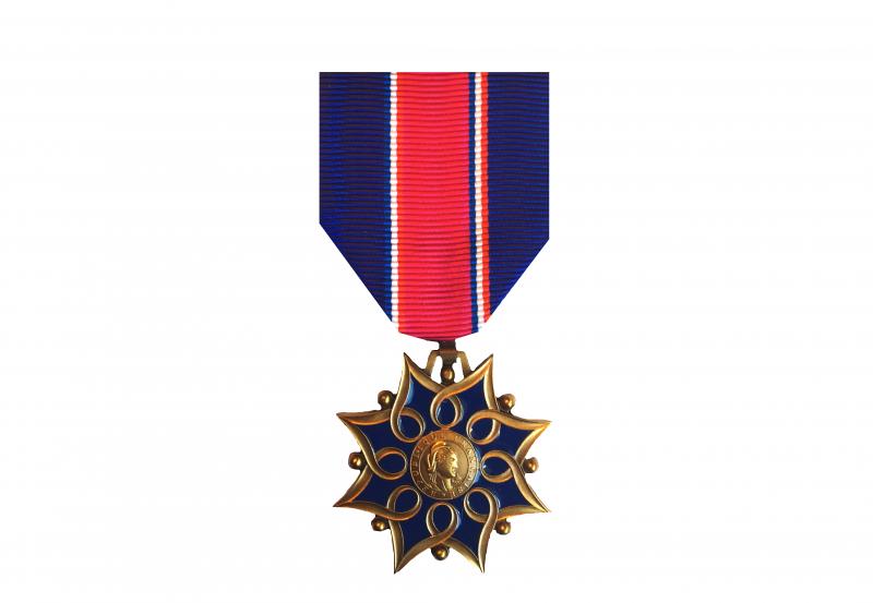 Médaille d'Honneur de la Santé et des Affaires Sociales - Bronze 10 ans ordonnance