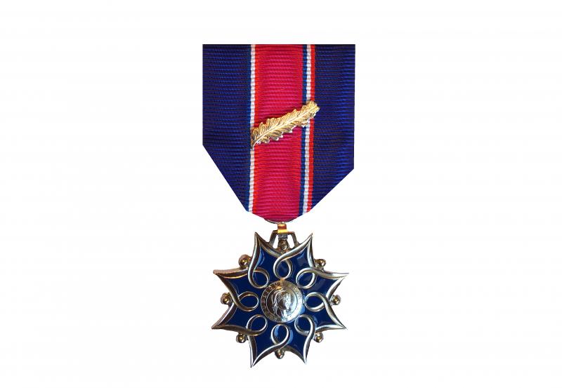 Médaille d'Honneur de la Santé et des Affaires Sociales - Argent 15 ans ordonnance