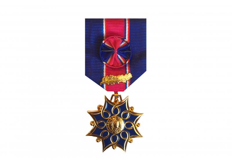 Médaille d'Honneur de la Santé et des Affaires Sociales - Or 20 ans ordonnance