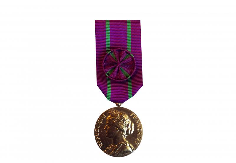 Médaille d'Honneur des Services Judiciaires - Or ordonnance