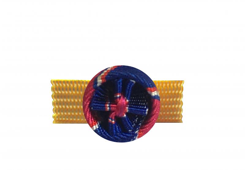Rosette Médaille d'Honneur de la Santé et des Affaires Sociales - Grade Or