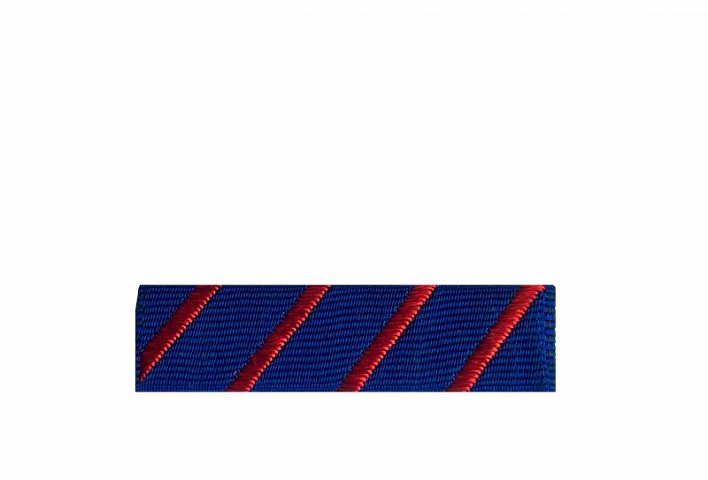 Dixmude Services Volontaires France Libre (Commèmo FFL)