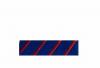Dixmude Services Volontaires France Libre (Commèmo FFL)