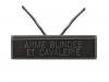 Arme Blindée et Cavalerie (Agrafe réduction)