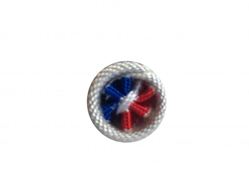Rosette Sécurité Intérieure - Grade Argent