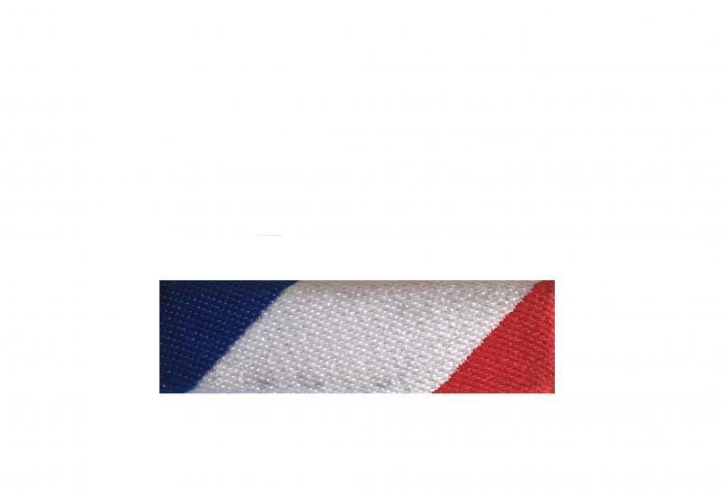 Dixmude Sécurité Intérieure Bronze