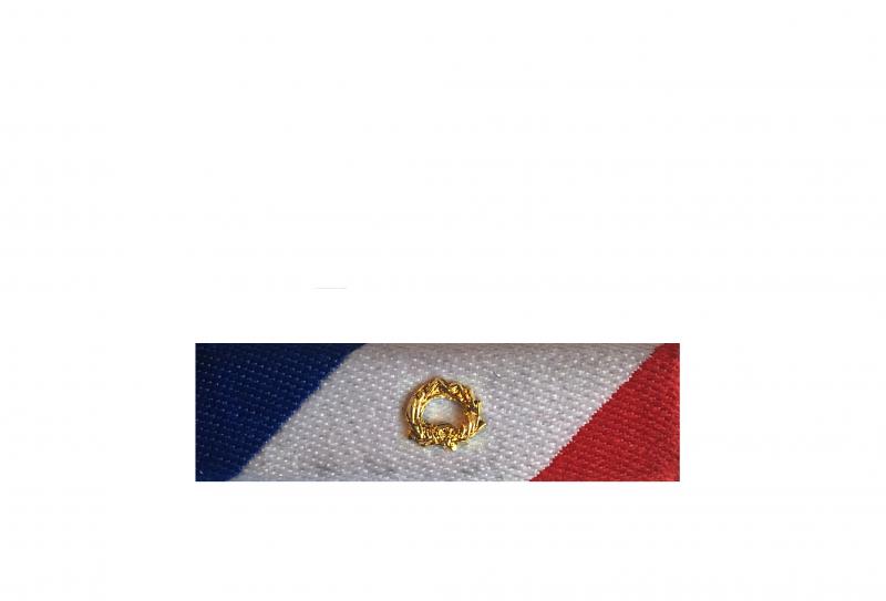 Dixmude Sécurité Intérieure Or