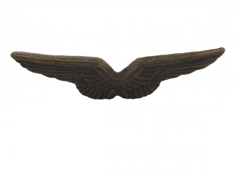 Ailes bronze