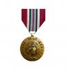 Médaille des Nations Unies FNUOD Golan depuis 1974