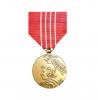USA Freedom Medal