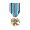 USA Joint Service Achievement