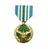 USA Joint Service Commendation