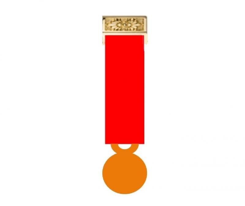 Montage 1 Médaille Réduction (Miniature sur porte-médaille)