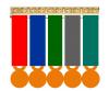 Montage 5 Médailles Réduction (Miniatures sur porte-médaille)