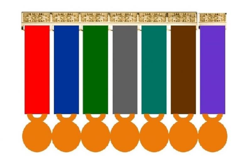 Montage 7 Médailles Réduction (Miniatures sur porte-médaille)