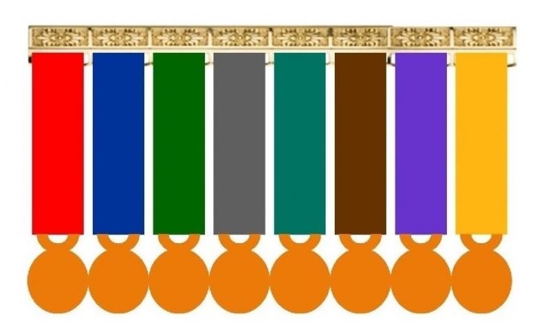 Montage 8 Médailles Réduction (Miniatures sur porte-médaille)