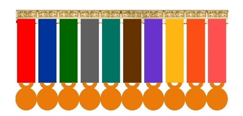Montage 10 Médailles Réduction (Miniatures sur porte-médaille)