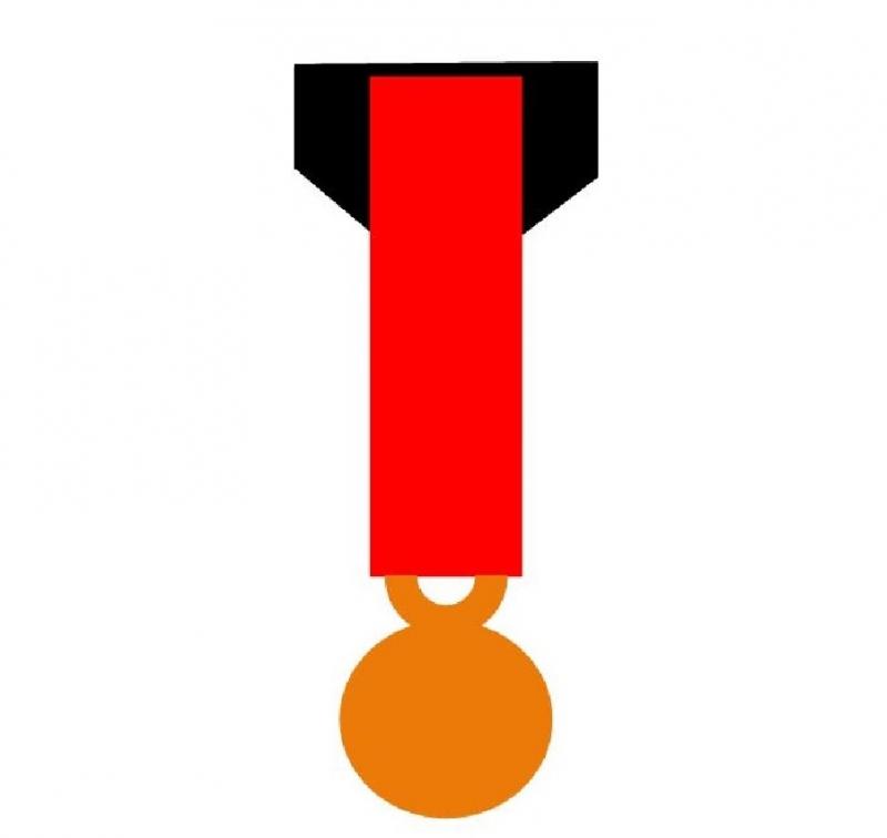 Montage 1 Médaille Réduction (Miniature sur drap noir)
