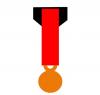 Montage 1 Médaille Réduction (Miniature sur drap noir)
