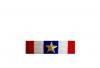 Dixmude Police (Honneur) - Classe Or