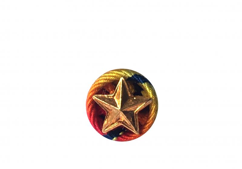 Rosette Sapeurs Pompiers Services Exceptionnels - Classe Vermeil ANCIEN MODÈLE