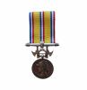 Honneur Sapeurs Pompiers Monnaie de Paris Grade Argent 20 ans Ordonnance