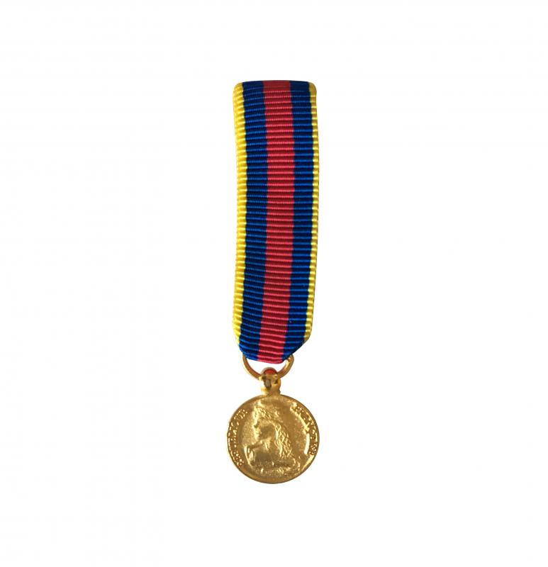 Réservistes Volontaires de Défense et de Sécurité Intérieure Grade Or Réduction