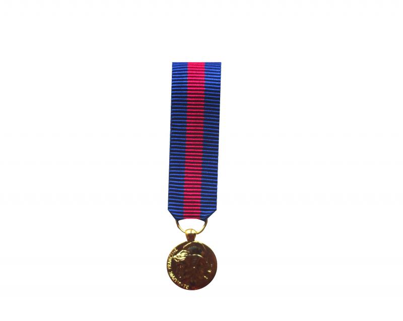 Services Militaires Volontaires Grade Bronze Réduction