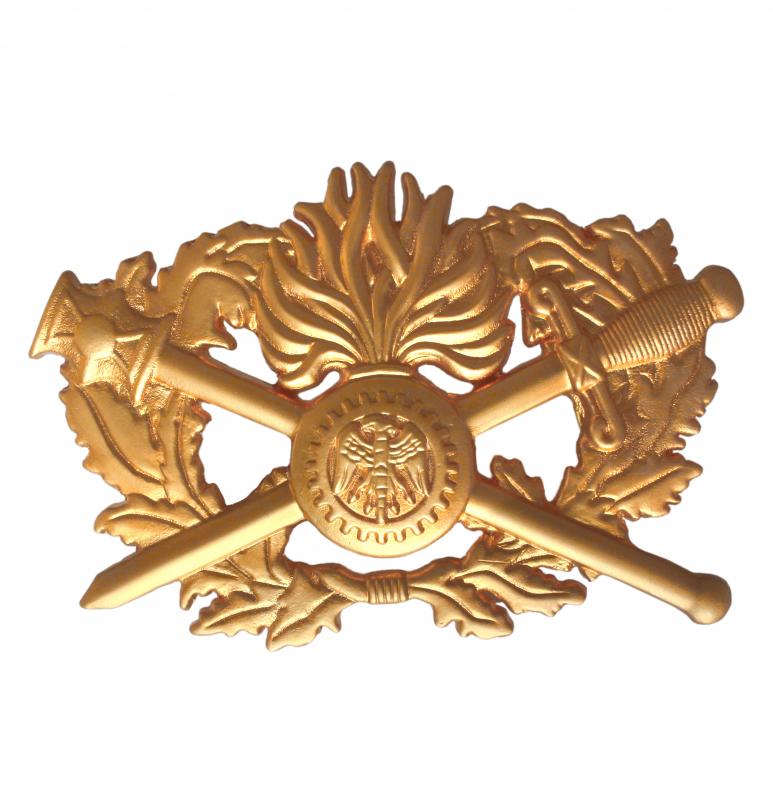 Insigne CSTAGN - Or
